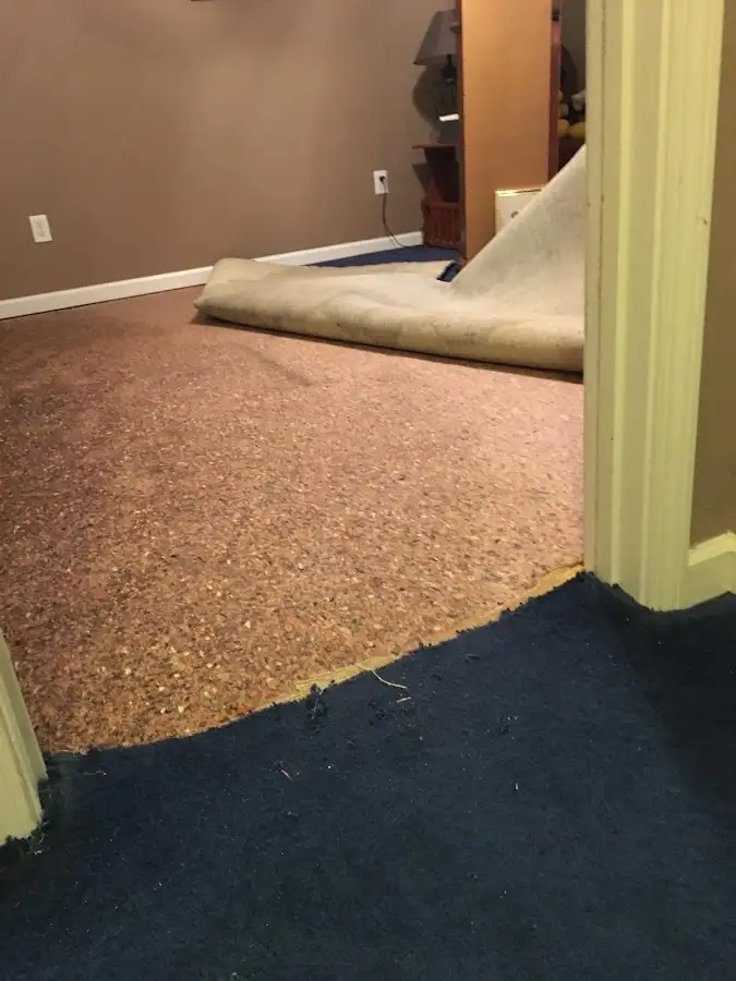Carpet pad removal revealing water damage during Drying & Dehumidification in Celebration