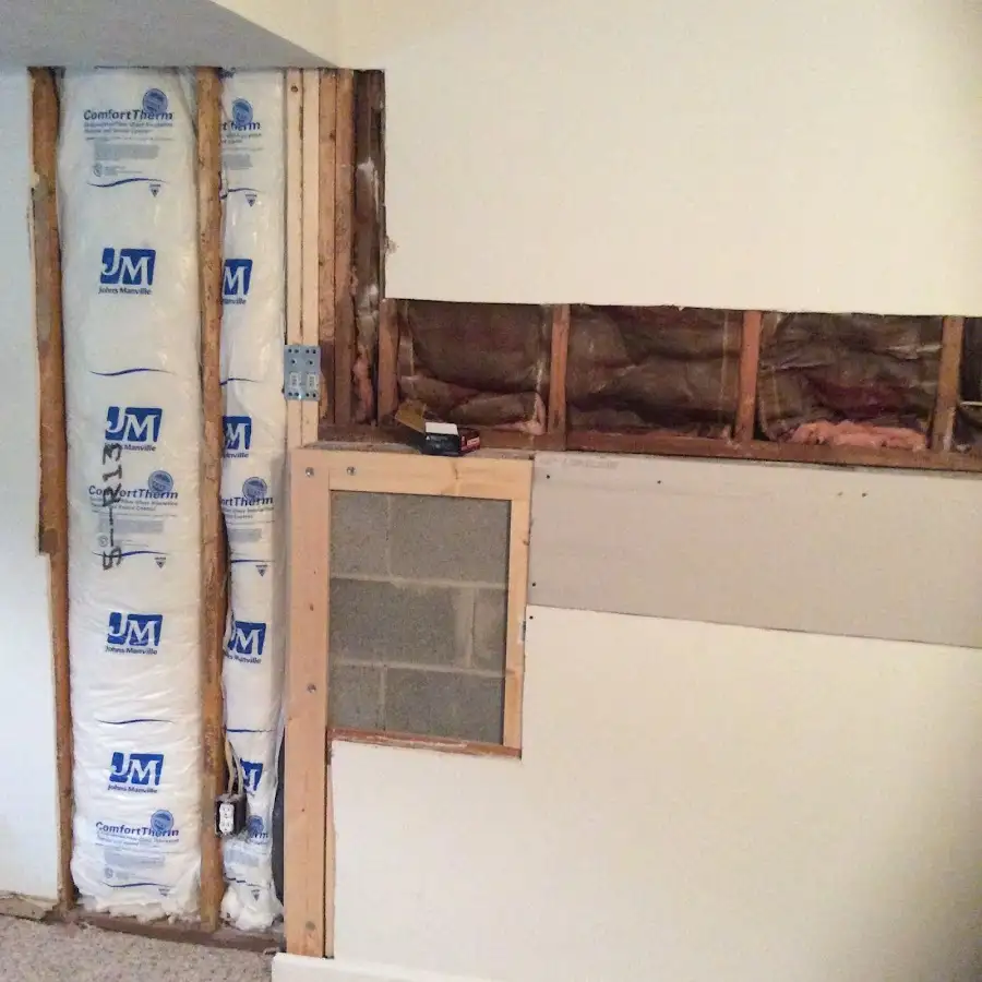 Wall insulation replacement during Odor Removal & Deodorization in Celebration